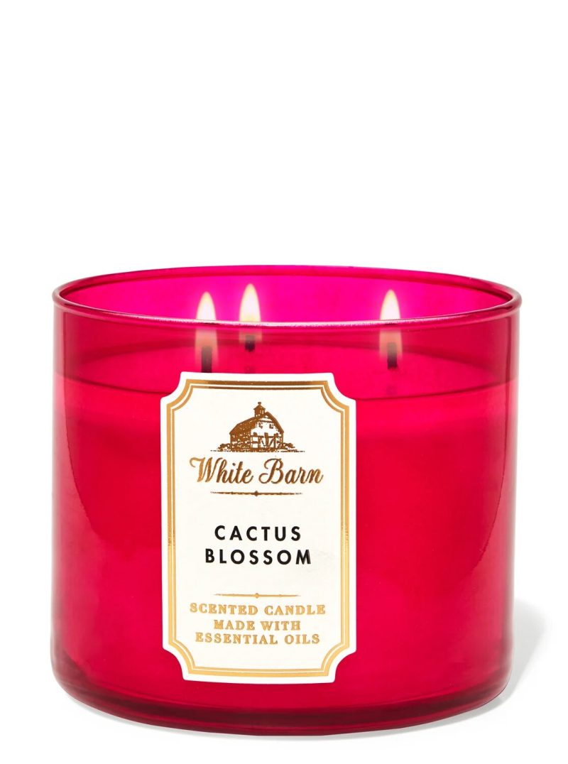 CACTUS BLOSSOM  3 WICK CANDLE