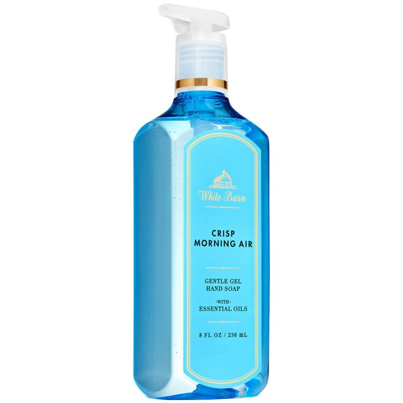 CRISP MORNING AIR GENTLE HAND SOAP
