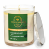 EUCALYPTUS & SPEARMINT ONE WICK CANDLE 198G
